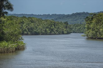 Comte river flows through jungle