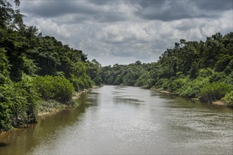 River Kourou with green vegetation