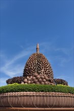 Durian monument