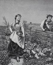 Young woman standing in her herb garden and the neighbour wants to flirt with her