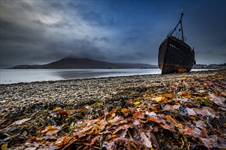 Ship wreck at Loch Eil with coloured leaves in the foreground
