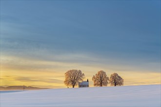 Chapel 14 emergency helpers with old trees in snow-covered landscape at sunrise