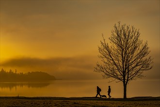 Tree with walkers on lakeshore at sunrise