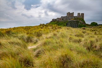 Dunescape with grass in front of Bamburgh Castle