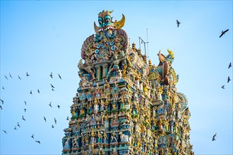 Doves flying around the Sri Meenakshi Sundareshwarar temple