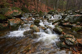 Waterfall in autumn