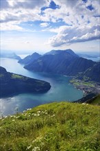 View from the Fronalpstock