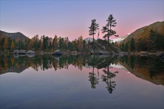 Larch forest reflected in Lake Lago di Saoseo