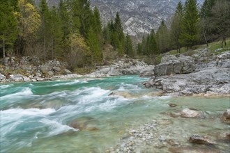 Emerald green wild river Soca