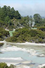 Wai-O-Tapu Thermal Wonderland