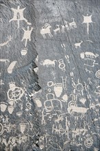 Petroglyphs