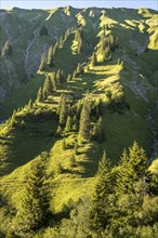 Mountain landscape at Hochtannberg Pass