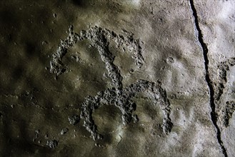 Petroglyph