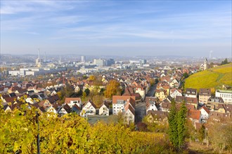 City view in autumn