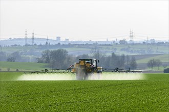 Tractor sprayes weedkiller on cereal field