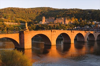 Heidelberg Castle with Karl Theodor Bridge in the Evening Light