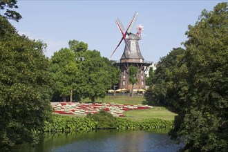 Windmill Herdentorswallmuhle in ramparts in spring