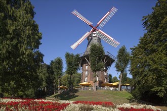 Windmill Herdentorswallmuhle in ramparts in spring