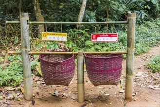 Baskets for rubbish