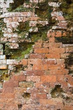 Old brick wall with moss