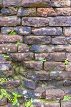 Old weathered brick wall with moss