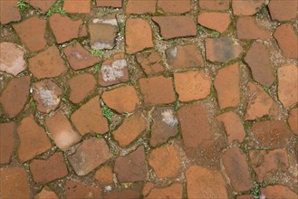 Old brick path
