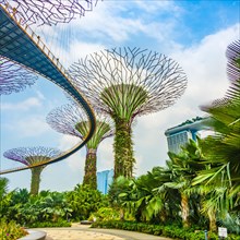 Supertree Grove with skyway in the Gardens by the Bay futuristic municipal park