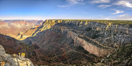 Gorge of the Grand Canyon with Bright Angel Trail