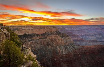 Gorge of the Grand Canyon at sunset