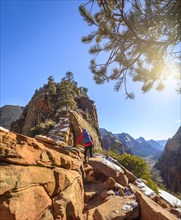 Young woman hiking on the via ferrata to Angels Landing