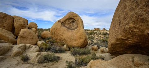 Sculpted Rocks