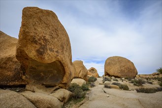 Sculpted Rocks