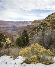 Gorge of the Grand Canyon