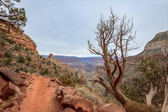 Hiking trail down into the Grand Canyon