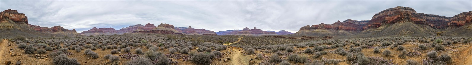 360-degree panorama from Plateau Point Trail in the gorge of the Grand Canyon to South Rim and North Rim