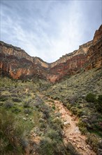 Rock face of the Grand Canyon