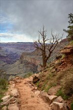Bright Angel Trail in the gorge of the Grand Canyon