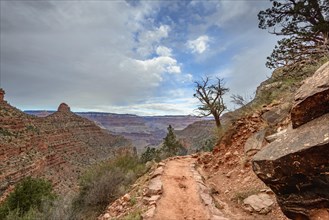 Bright Angel Trail in the gorge of the Grand Canyon