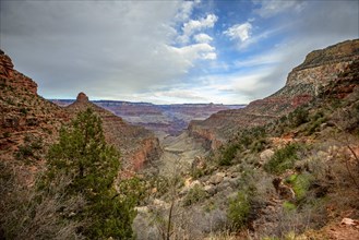 Gorge of the Grand Canyon