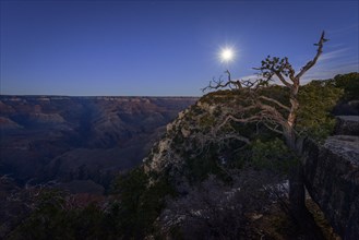 Gorge of the Grand Canyon at moonlight