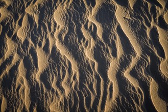 Wave structures in the bright sandy beach