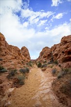 Rainbow Vista Trail