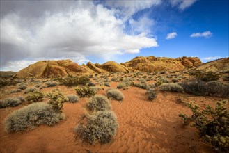 Rainbow Vista