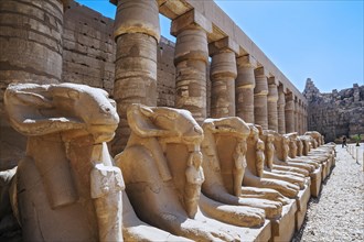 Avenue of ram-headed sphinxes at Karnak Temple