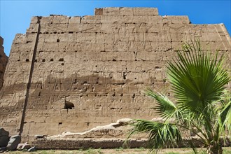 Bas-relief in Karnak Temple