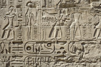 Bas-relief in Karnak Temple