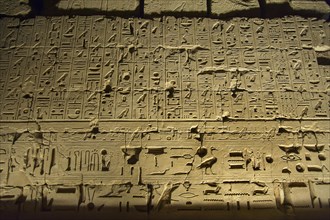 Egyptian hieroglyphs