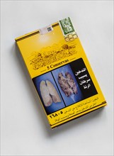 Cuban cigars in Egyptian cigar box with shocking images