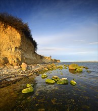 Bluff and boulders in the evening light