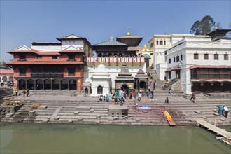 Pashupatinath temple complex
